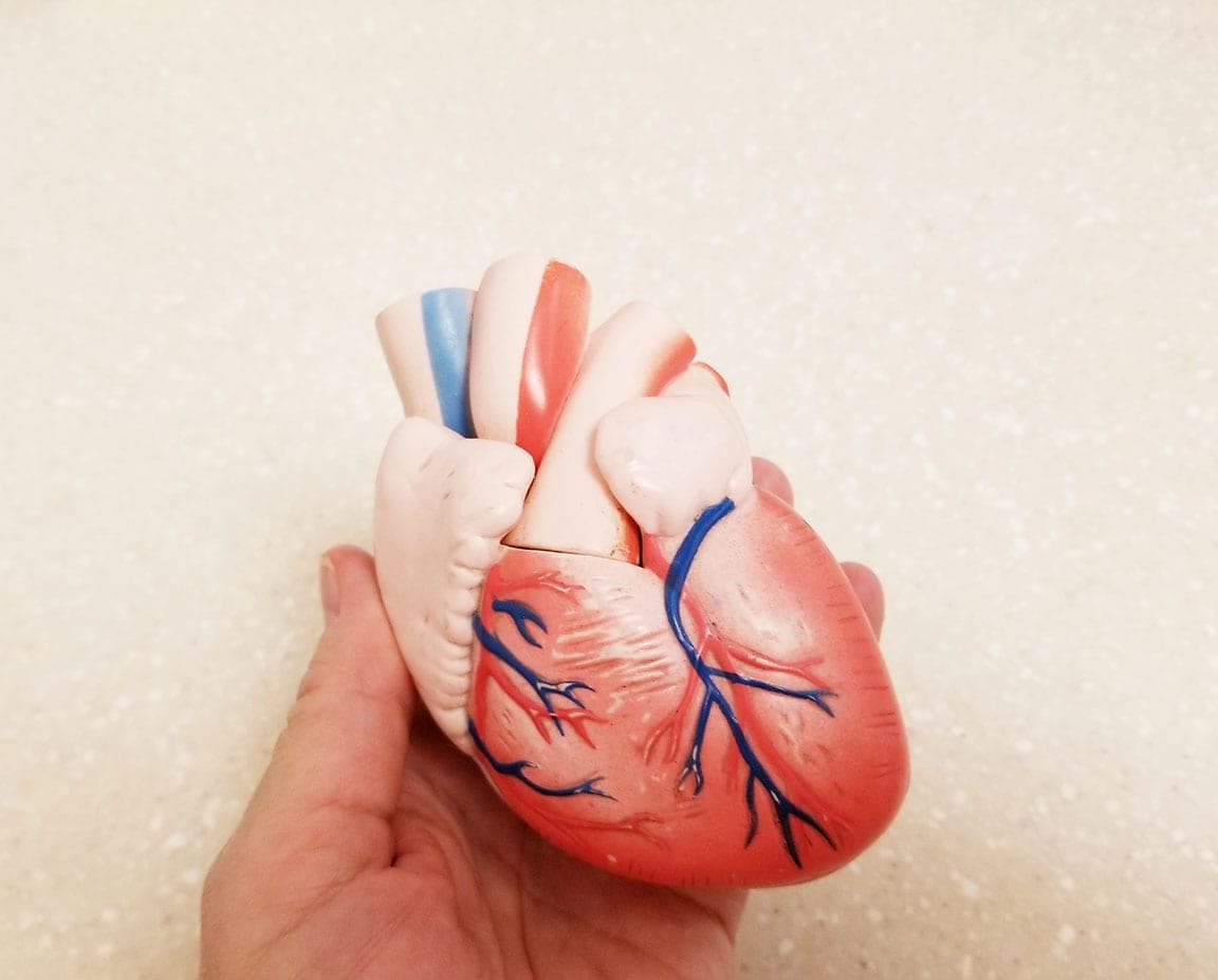 Cardiology